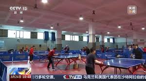 2026世界杯官网 乒乓球台国标号